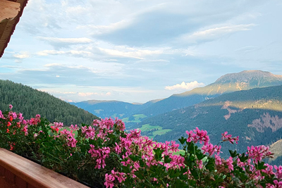 Vista panoramica - Appartamento Peilstein