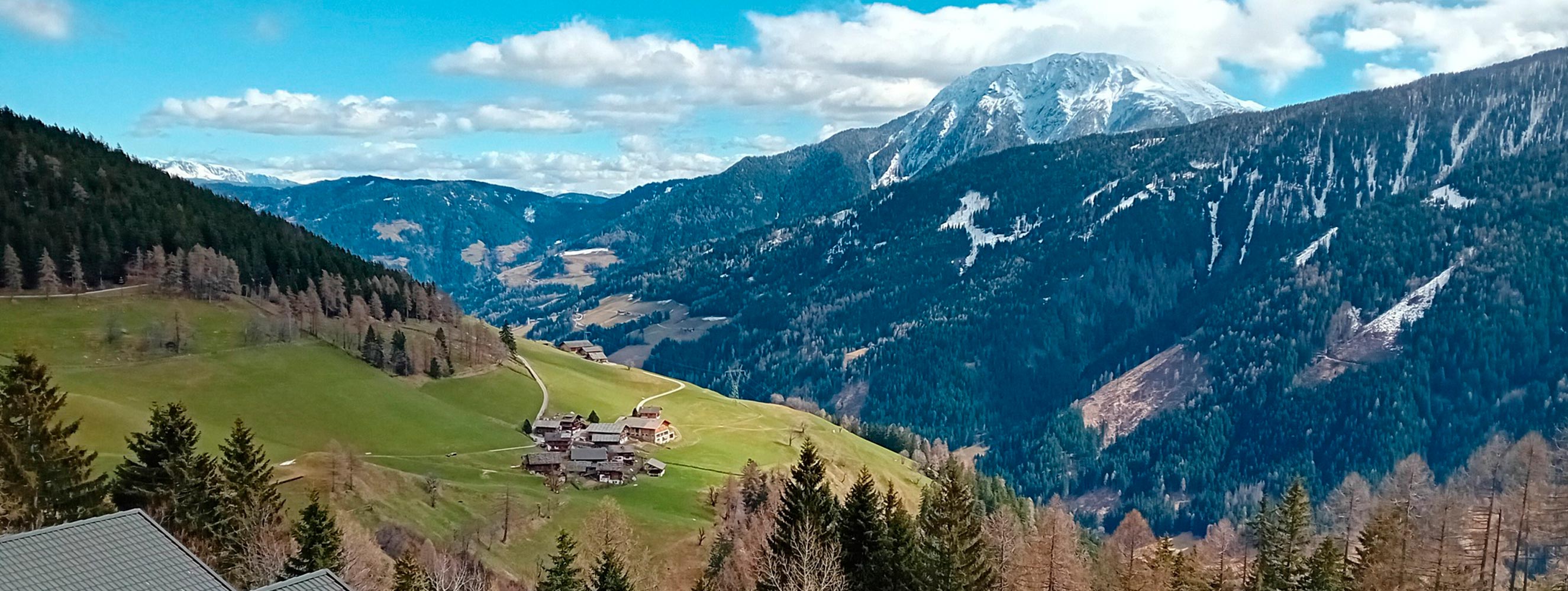 Niederhaushof